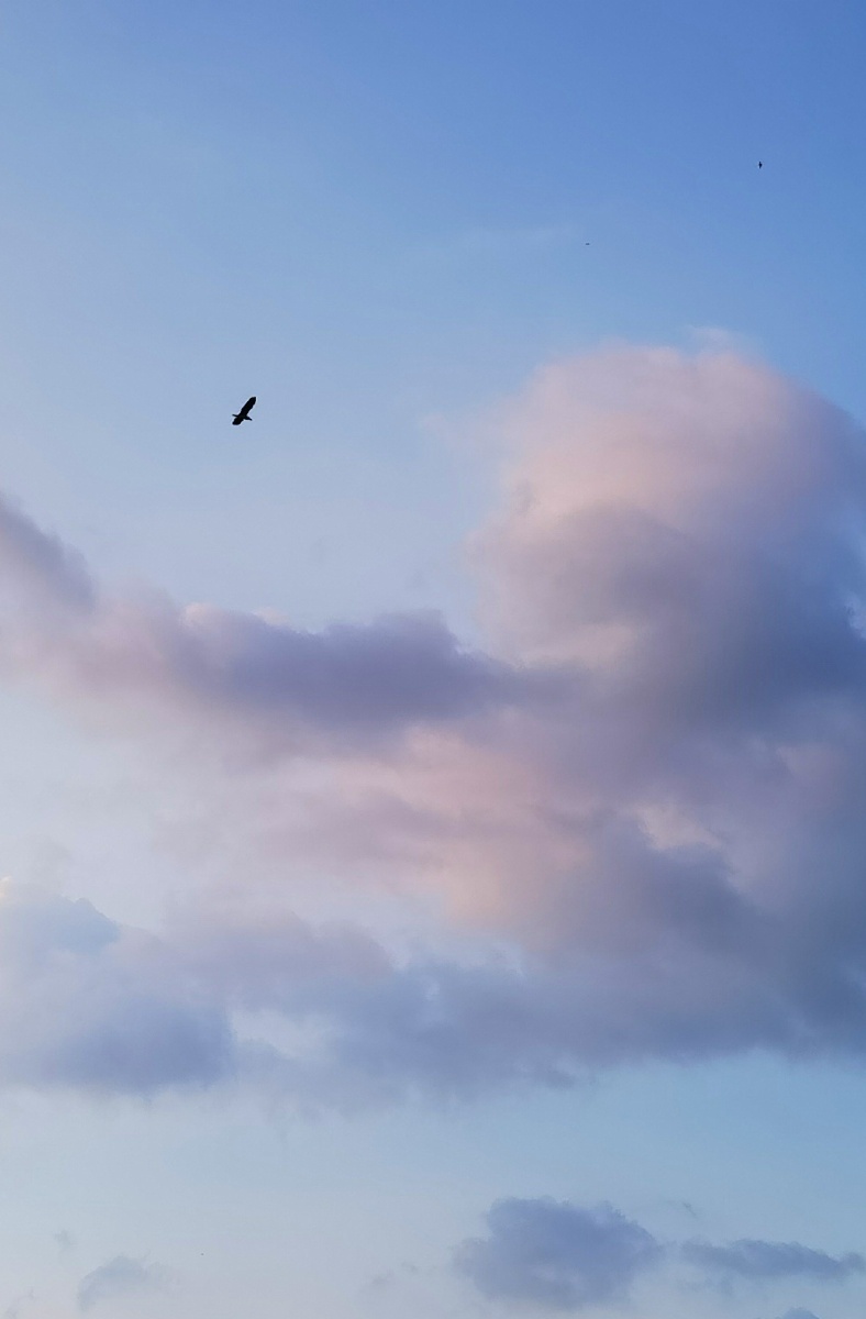 天空之城最近的天空超美!