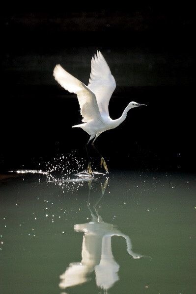 Taking off<br />
