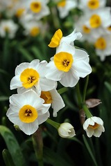 DSC04230.jpg
