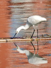 DSC04765.JPG