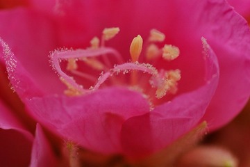 DSC07945.JPG