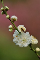 DSC08619.JPG