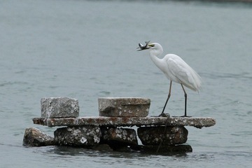 IMG_8470.JPG