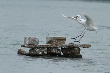 IMG_8414.JPG