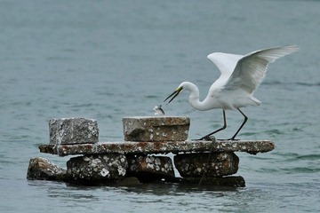 IMG_8458.JPG