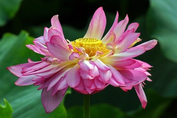 DSC01108.JPG