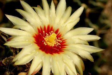 DSC00635.JPG