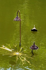 DSC04305.JPG