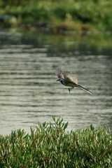DSC04945.JPG