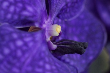 DSC05324.JPG