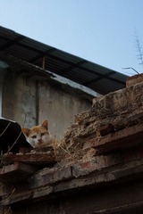 DSC06615-2.JPG
