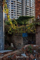 DSC06564.JPG