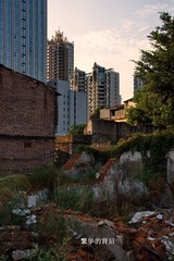 DSC06569.JPG