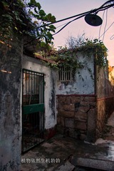 DSC06572.JPG