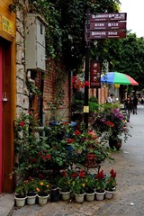 DSC07420.JPG