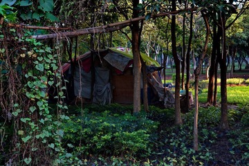 DSC07715.JPG