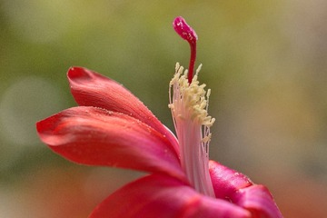 DSC01295.JPG