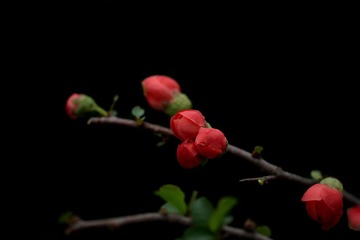 DSC01711.JPG