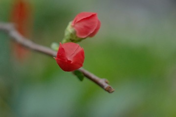 DSC01710.JPG