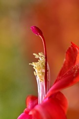 DSC01290.JPG