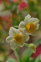 DSC01747.JPG