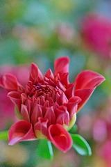 DSC01790.JPG