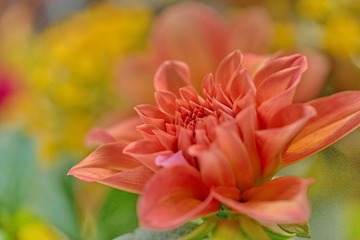 DSC01915.JPG