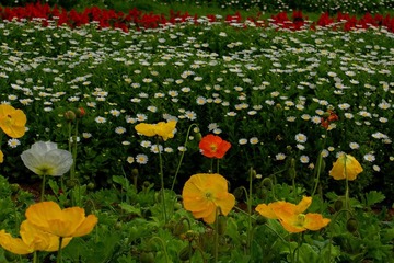 DSC08567.JPG