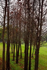 DSC08678.JPG