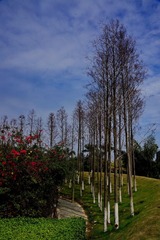 DSC08695.JPG