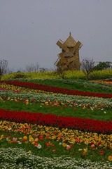 DSC08612.JPG