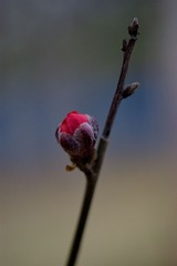 DSC02090.JPG