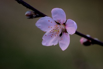 DSC02105.JPG