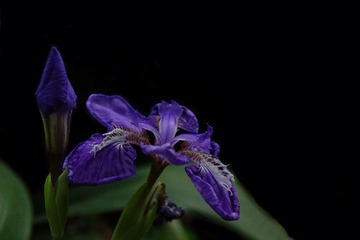 DSC08781.JPG