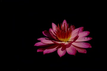 DSC08941.JPG