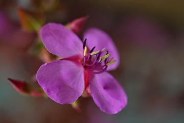 DSC02246.JPG