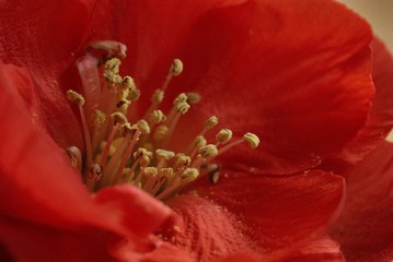 DSC02274.JPG