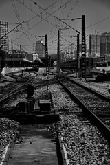 DSC07013.JPG
