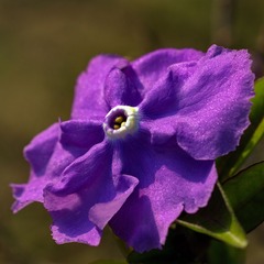 DSC02409.JPG