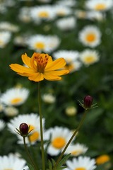 DSC08522.JPG