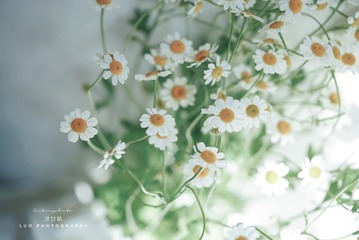 B5C59B34-7AF1-4391-A755-6285B85D20FC/L0/001