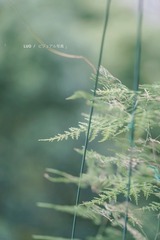 8BDD3D11-0EDD-45B5-8144-8B69C2D62A53/L0/001