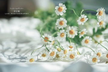 70B8B784-6AE4-40E5-B4F7-571FD4FC437E/L0/001