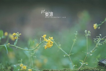 2A5DD4F5-B85D-430A-82BC-C59620096DBD/L0/001