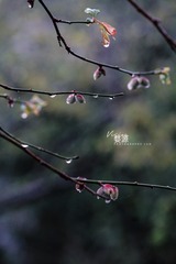 766237AD-39BF-4511-949D-F6D97B1D1E2B/L0/001
