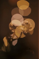 59C5E8F6-B667-4D6E-9387-F516EEE8AE77/L0/001