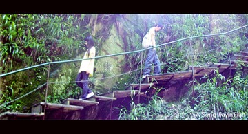 向左走，向右走