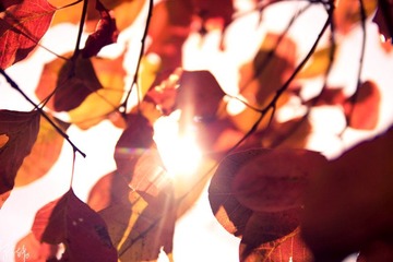 _MG_69711.jpg
