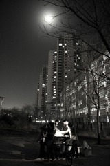 月圆之夜（二）