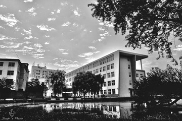 临水的教学楼